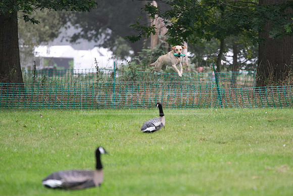 Jixenwell Scurry Challenge Final 2024-0176