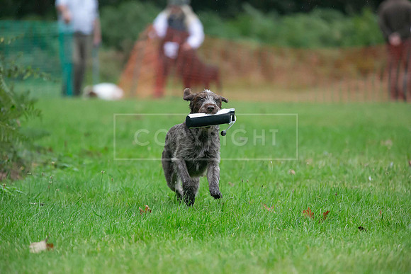 Jixenwell Scurry Challenge Final 2024-0075