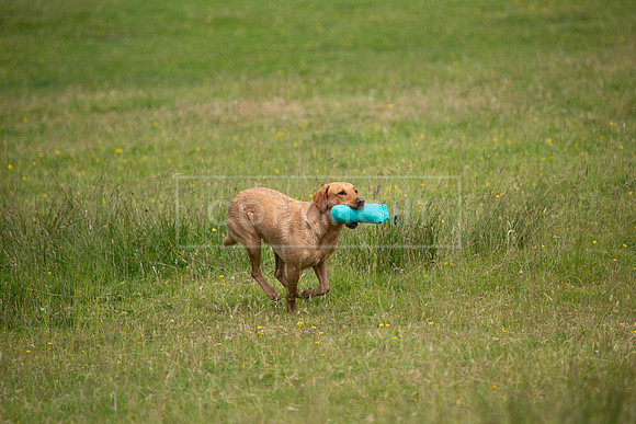 Int Retriever Day 1 -071