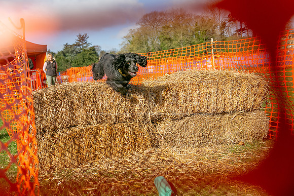 Thoresby Sun 30th Mar 25-002