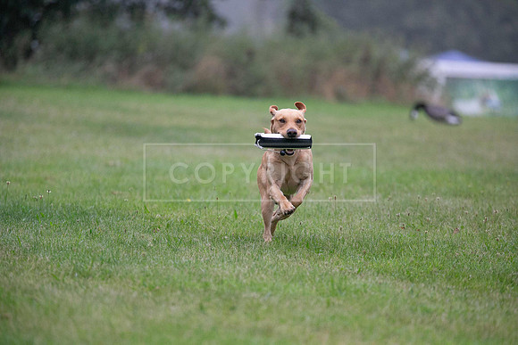Jixenwell Scurry Challenge Final 2024-0103