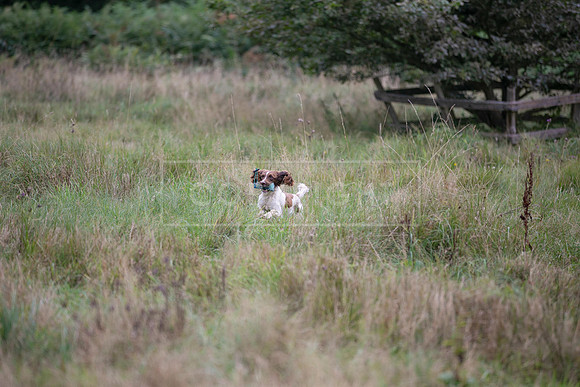 Jixenwell Scurry Challenge Final 2024-0519