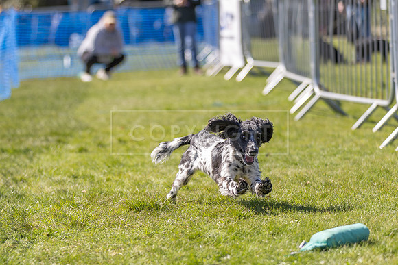 Thoresby Sun 30th Mar 25-244