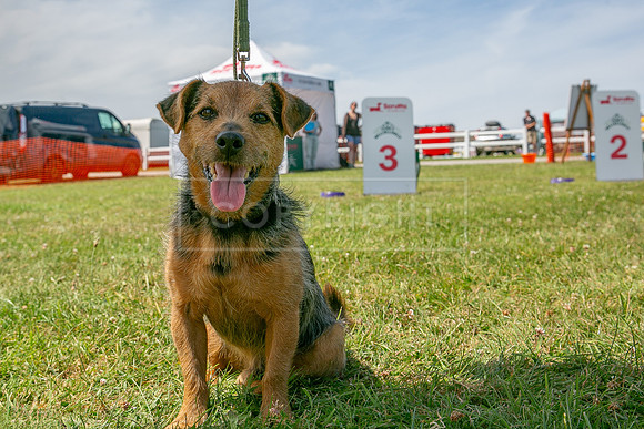 Scruffts heat @ Wadebridge 13th July 2025-116