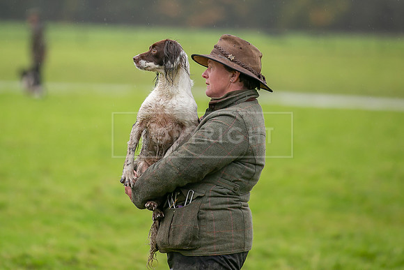 Gundogs-64