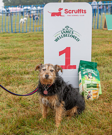 Scruffts detling showground 17 sept 23-01