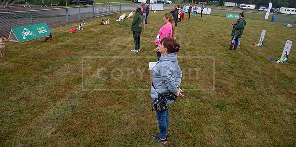 Scruffts detling showground 17 sept 23-06
