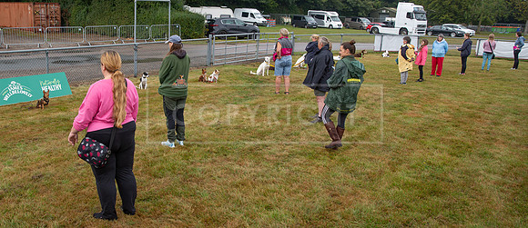 Scruffts detling showground 17 sept 23-07