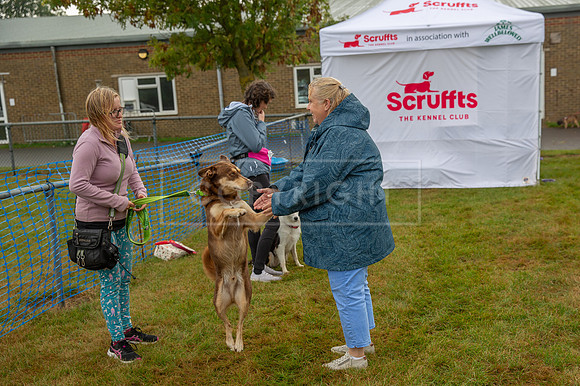 Scruffts detling showground 17 sept 23-09
