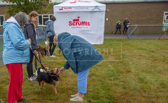 Scruffts detling showground 17 sept 23-10