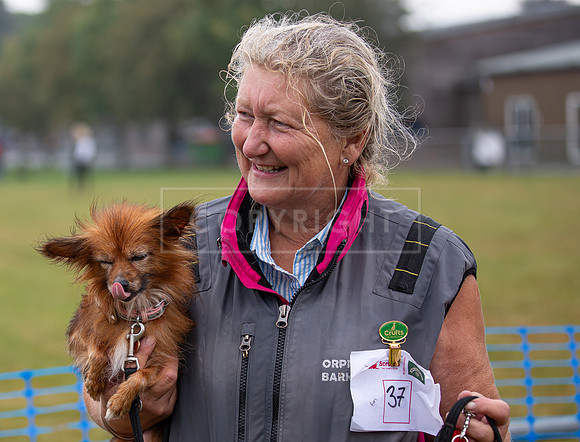 Scruffts detling showground 17 sept 23-12