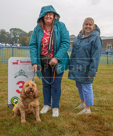 Scruffts detling showground 17 sept 23-17