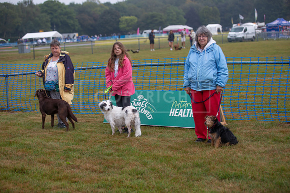 Scruffts detling showground 17 sept 23-16