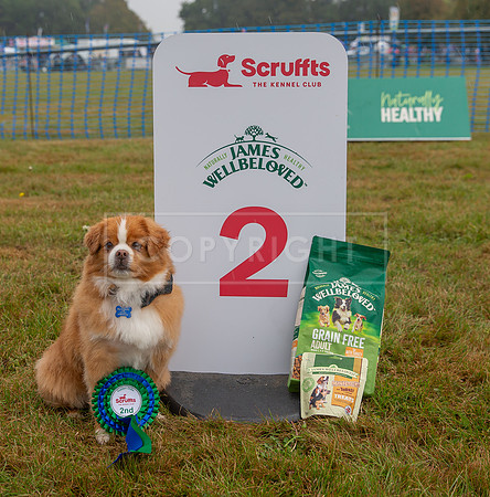 Scruffts detling showground 17 sept 23-20