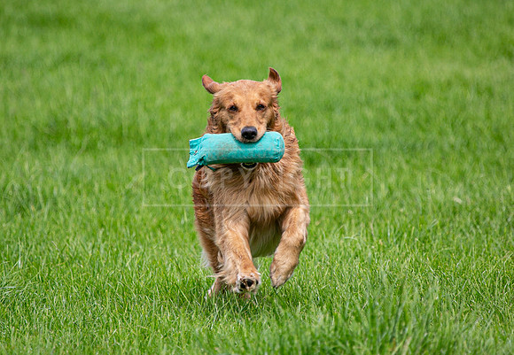 Int Retriever Day 1 -197