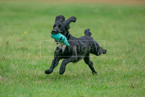 Jixenwell Scurry Challenge Final 2024-0254