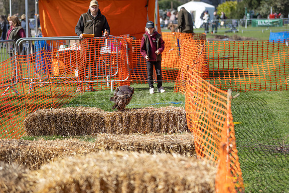 Thoresby Sun 30th Mar 25-120