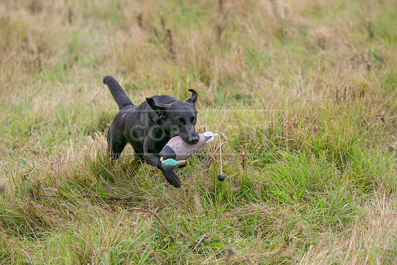 Jixenwell Scurry Challenge Final 2024-0482