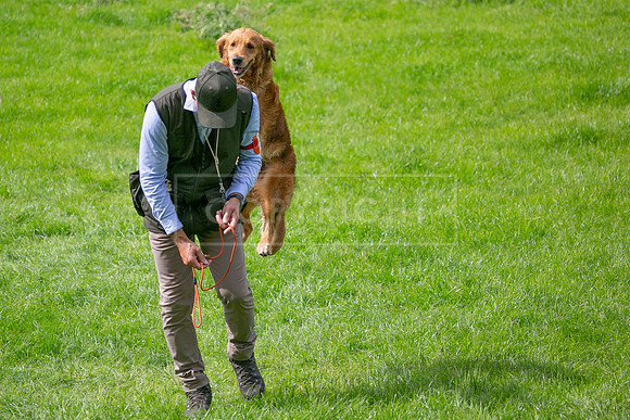 Int Retriever Day 1 -188