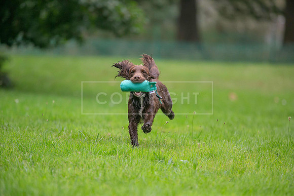 Jixenwell Scurry Challenge Final 2024-0228
