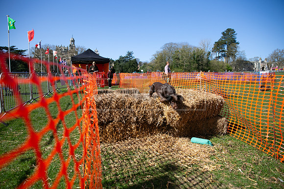 Thoresby Sun 30th Mar 25-109