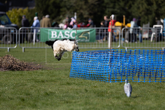 Thoresby Sun 30th Mar 25-088