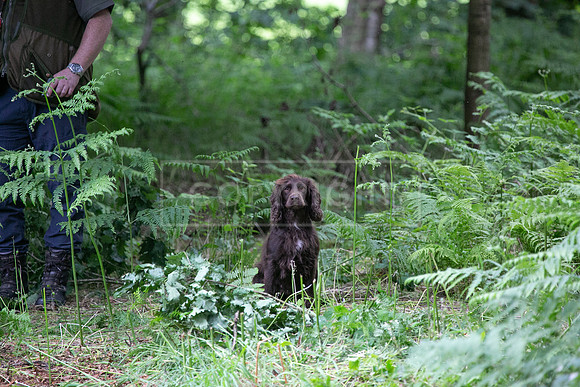 Training Day-25