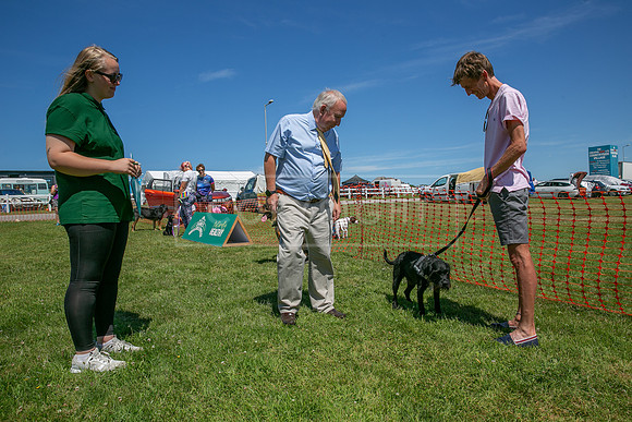 Scruffts heat @ Wadebridge 13th July 2025-20