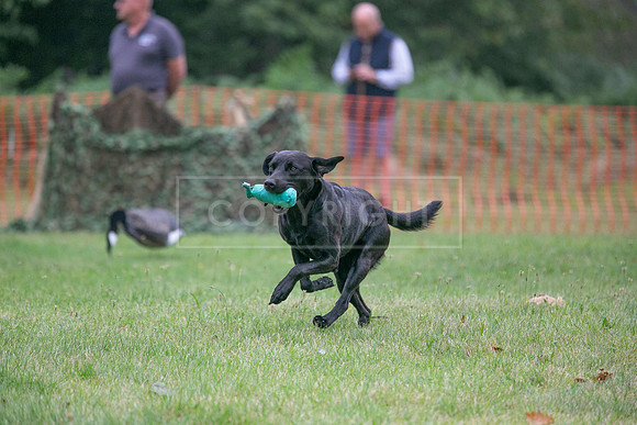 Jixenwell Scurry Challenge Final 2024-0186