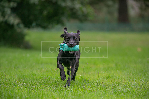 Jixenwell Scurry Challenge Final 2024-0190