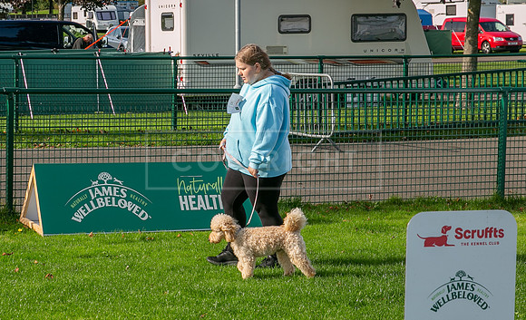 Edinburgh Scruffts 1st Oct 2023-02