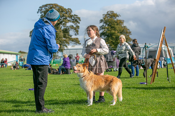 Edinburgh Scruffts 1st Oct 2023-08