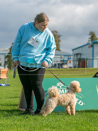 Edinburgh Scruffts 1st Oct 2023-10