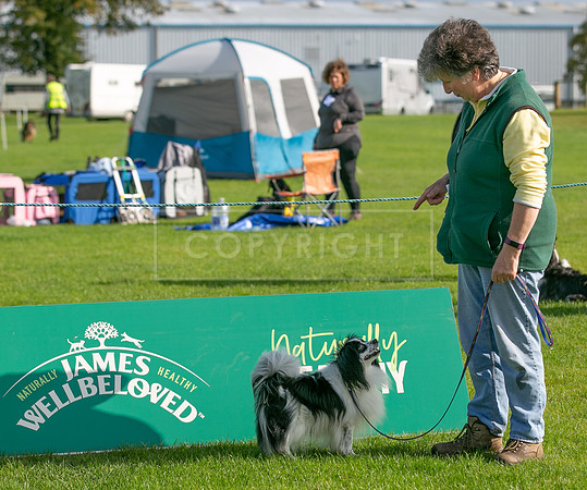 Edinburgh Scruffts 1st Oct 2023-13