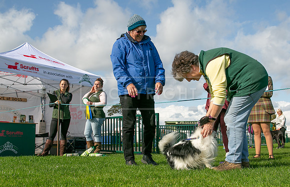 Edinburgh Scruffts 1st Oct 2023-14