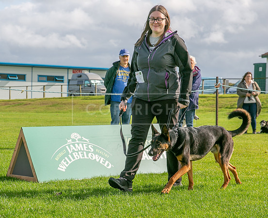 Edinburgh Scruffts 1st Oct 2023-15