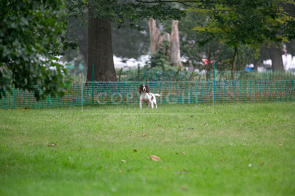 Jixenwell Scurry Challenge Final 2024-0321