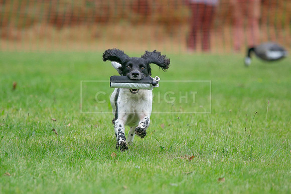 Jixenwell Scurry Challenge Final 2024-0333