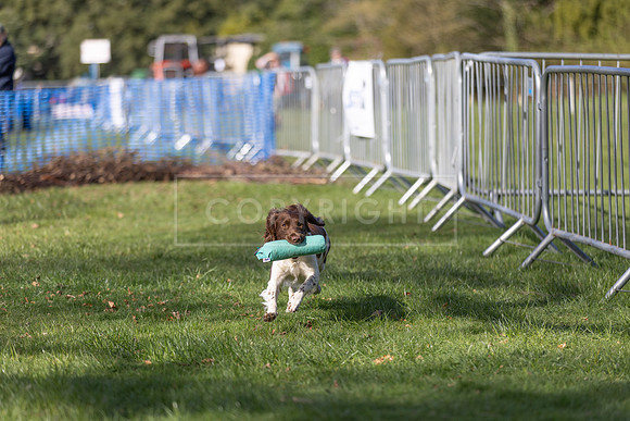 Thoresby Sun 30th Mar 25-018