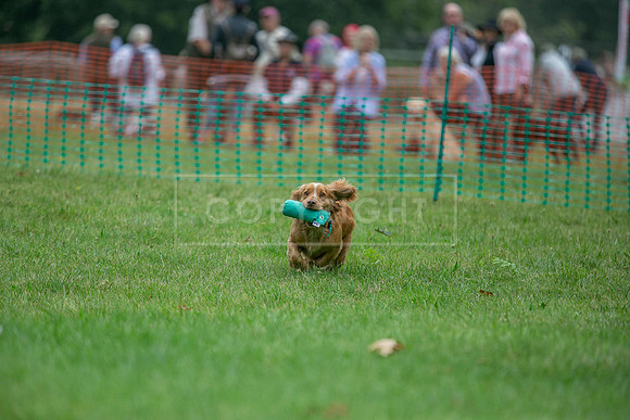 Jixenwell Scurry Challenge Final 2024-0365