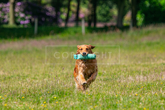 Int Retriever Day 1 -119