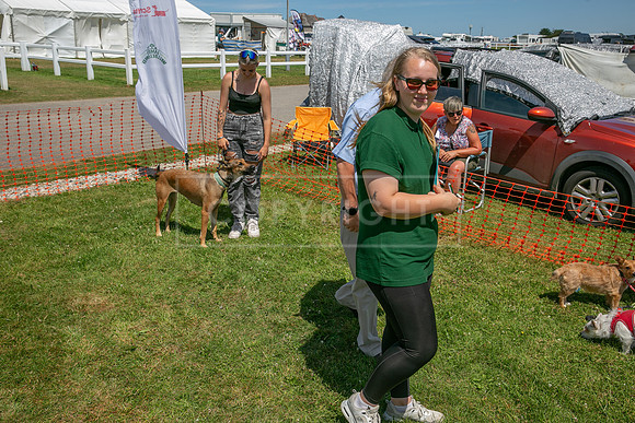 Scruffts heat @ Wadebridge 13th July 2025-69