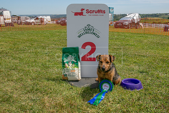 Scruffts heat @ Wadebridge 13th July 2025-127