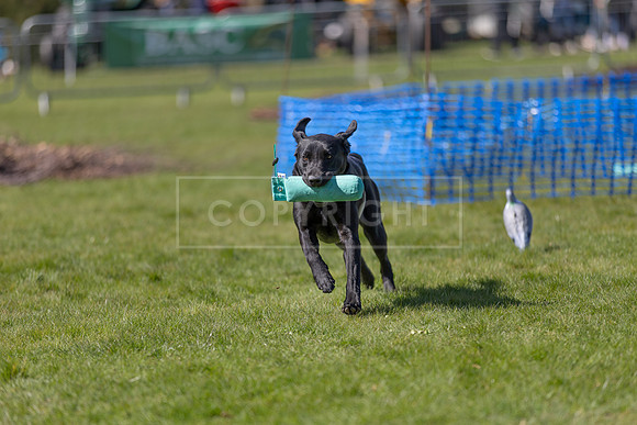 Thoresby Sun 30th Mar 25-187