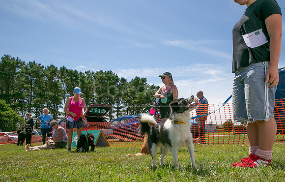 Scruffts heat @ Wadebridge 13th July 2025-16