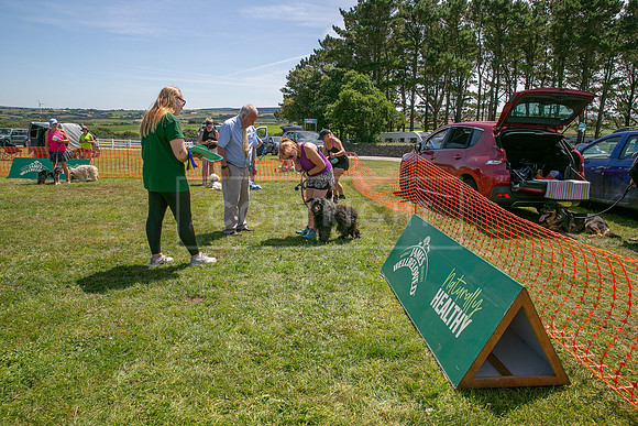 Scruffts heat @ Wadebridge 13th July 2025-90