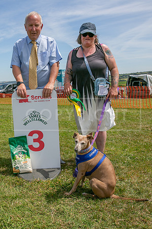 Scruffts heat @ Wadebridge 13th July 2025-129