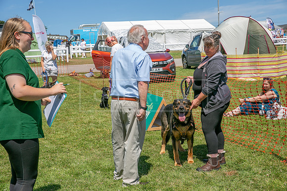 Scruffts heat @ Wadebridge 13th July 2025-17
