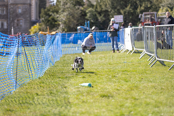Thoresby Sun 30th Mar 25-239