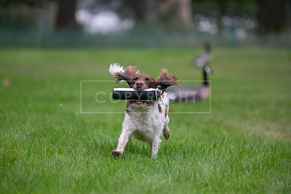 Jixenwell Scurry Challenge Final 2024-0241